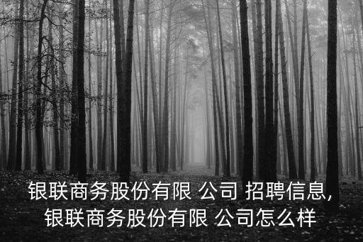 銀聯(lián)商務(wù)股份有限 公司 招聘信息,銀聯(lián)商務(wù)股份有限 公司怎么樣