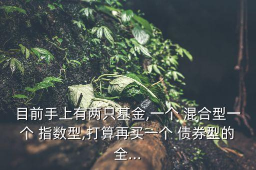 股票混合指數(shù)債券,混合型 股票型 債券型 指數(shù)型