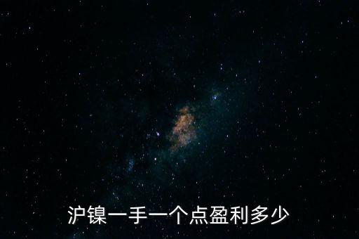 滬鎳一手一個點盈利多少