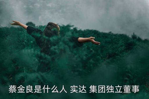 蔡金良是什么人 實(shí)達(dá) 集團(tuán)獨(dú)立董事