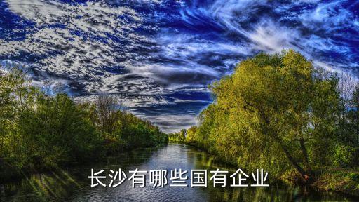 湖南銀河信息產(chǎn)業(yè)股份有限公司,鴻聯(lián)九五信息產(chǎn)業(yè)股份有限公司