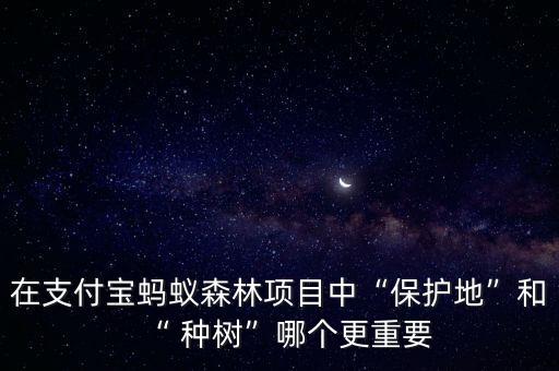 在支付寶螞蟻森林項目中“保護地”和“ 種樹”哪個更重要