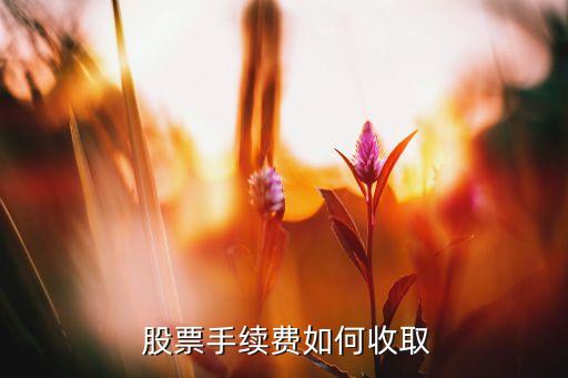  股票手續(xù)費(fèi)如何收取