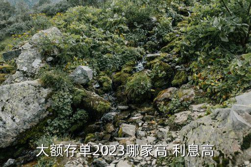 大額存單2023哪家高 利息高