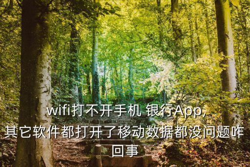  wifi打不開手機 銀行App,其它軟件都打開了移動數(shù)據(jù)都沒問題咋回事