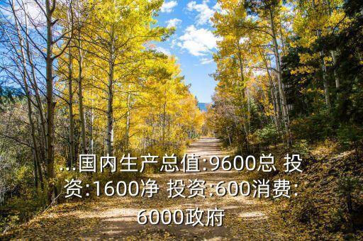 ...國(guó)內(nèi)生產(chǎn)總值:9600總 投資:1600凈 投資:600消費(fèi):6000政府