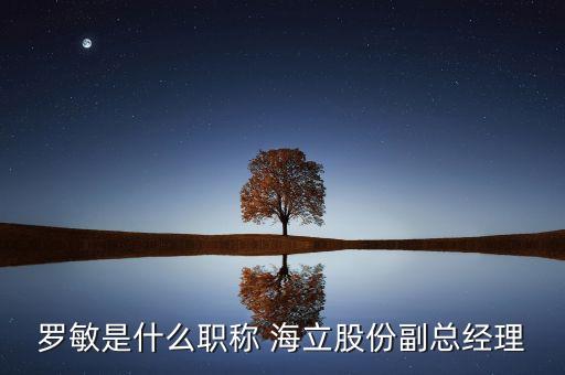 羅敏是什么職稱 海立股份副總經(jīng)理