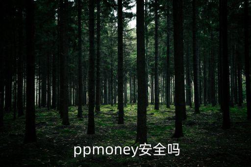  ppmoney安全嗎