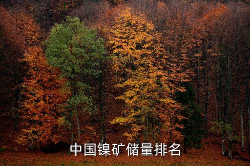 中國中冶瑞木鎳紅土礦項(xiàng)目投產(chǎn)