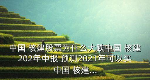 中國 核建股票為什么大跌中國 核建202年中報 預測2021年可以買中國 核建...