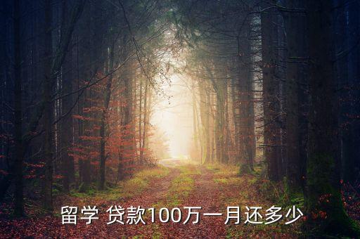  留學 貸款100萬一月還多少