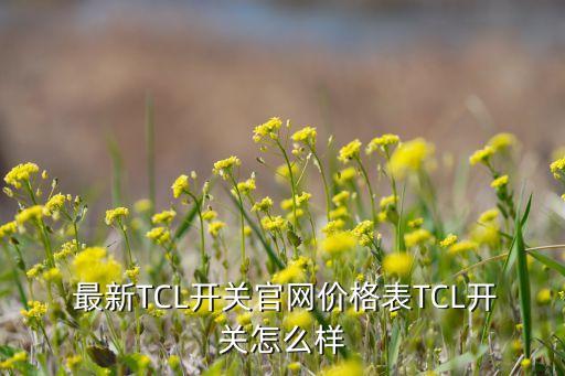  最新TCL開(kāi)關(guān)官網(wǎng)價(jià)格表TCL開(kāi)關(guān)怎么樣