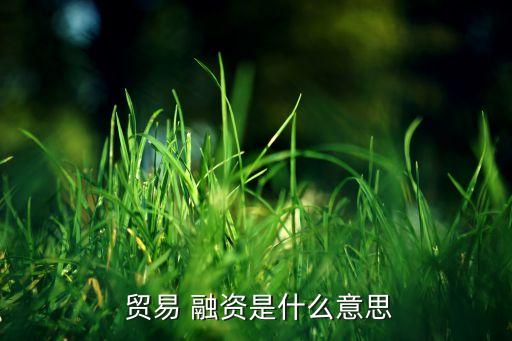  貿(mào)易 融資是什么意思