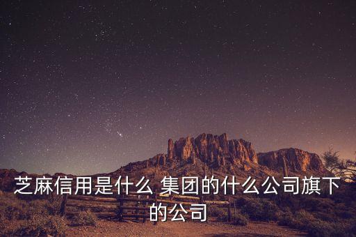 芝麻信用是什么 集團(tuán)的什么公司旗下的公司