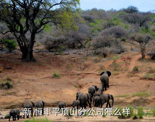 新 恒豐平頂山分公司怎么樣