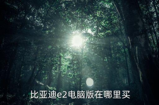  比亞迪e2電腦版在哪里買