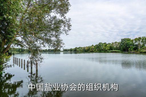 大清河鹽化集團何總,三友鹽化大清河轉(zhuǎn)型