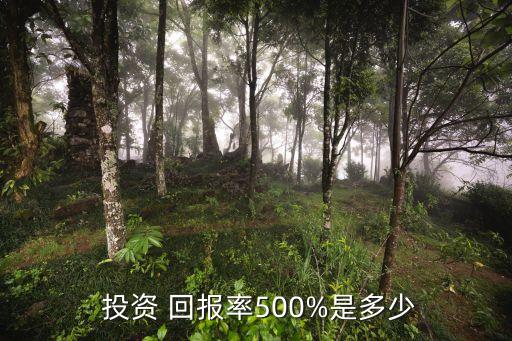  投資 回報率500%是多少