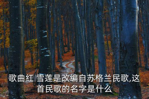 歌曲紅 雪蓮是改編自蘇格蘭民歌,這首民歌的名字是什么