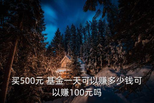 買500元 基金一天可以賺多少錢可以賺100元嗎