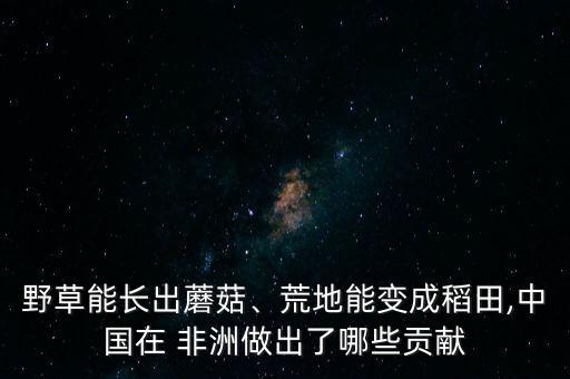 野草能長出蘑菇、荒地能變成稻田,中國在 非洲做出了哪些貢獻(xiàn)