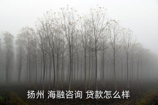 揚州 海融咨詢 貸款怎么樣