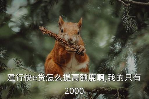 建行快e貸怎么提高額度啊,我的只有2000