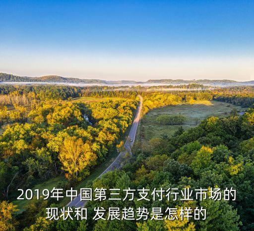 2019年中國第三方支付行業(yè)市場(chǎng)的現(xiàn)狀和 發(fā)展趨勢(shì)是怎樣的