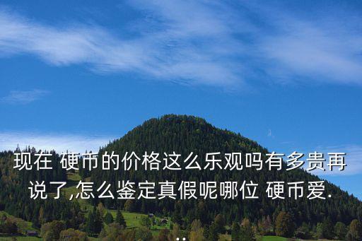 現(xiàn)在 硬幣的價(jià)格這么樂觀嗎有多貴再說了,怎么鑒定真假呢哪位 硬幣愛...