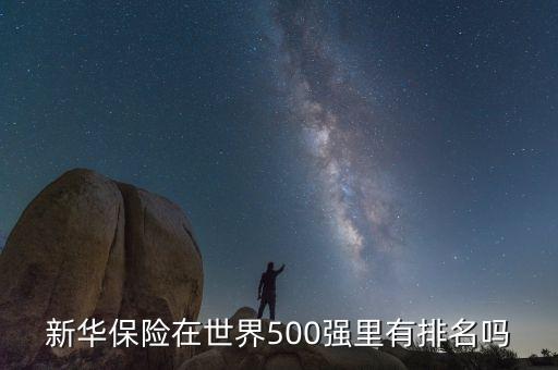 新華保險(xiǎn)在世界500強(qiáng)里有排名嗎