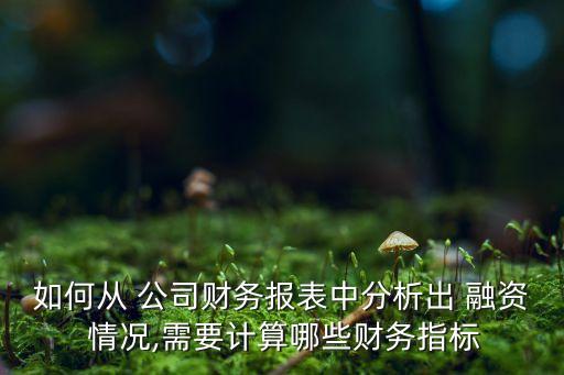 如何從 公司財務(wù)報表中分析出 融資 情況,需要計算哪些財務(wù)指標(biāo)