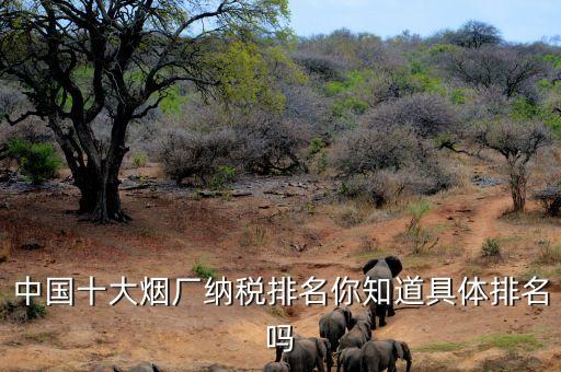 中國十大煙廠納稅排名你知道具體排名嗎