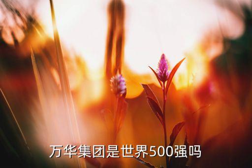 萬(wàn)華集團(tuán)是世界500強(qiáng)嗎