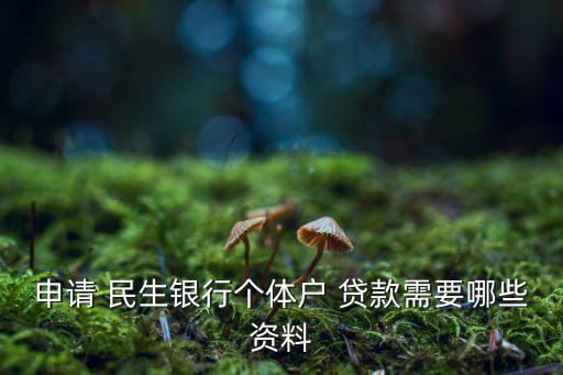 申請(qǐng) 民生銀行個(gè)體戶 貸款需要哪些資料