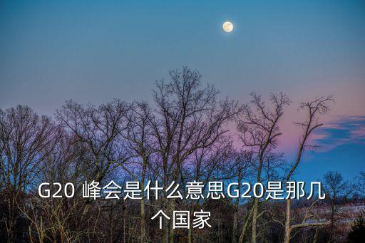 G20 峰會(huì)是什么意思G20是那幾個(gè)國(guó)家