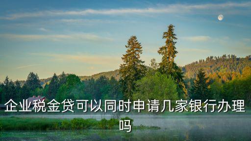 企業(yè)稅金貸可以同時申請幾家銀行辦理嗎