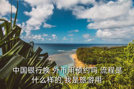  中國銀行換 外幣用預(yù)約嗎 流程是什么樣的,我是旅游用