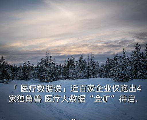 「 醫(yī)療數(shù)據(jù)說」近百家企業(yè)僅跑出4家獨角獸 醫(yī)療大數(shù)據(jù)“金礦”待啟...