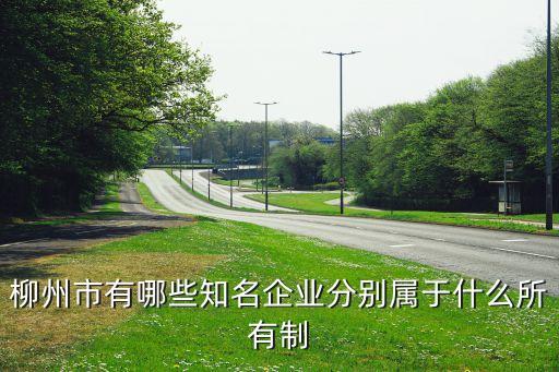 柳州市有哪些知名企業(yè)分別屬于什么所有制