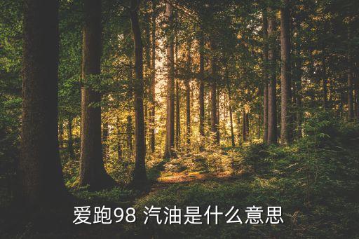 愛(ài)跑98 汽油是什么意思