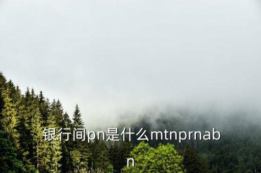  銀行間pn是什么mtnprnabn