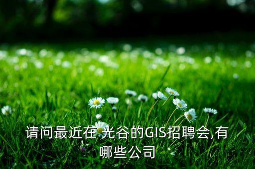 請(qǐng)問最近在 光谷的GIS招聘會(huì),有哪些公司