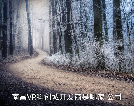 vr研發(fā)在那個公司,中國研發(fā)vr技術的公司