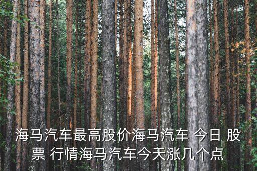 海馬汽車最高股價海馬汽車 今日 股票 行情海馬汽車今天漲幾個點