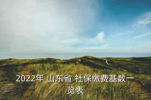 2022年 山東省 社保繳費(fèi)基數(shù)一覽表