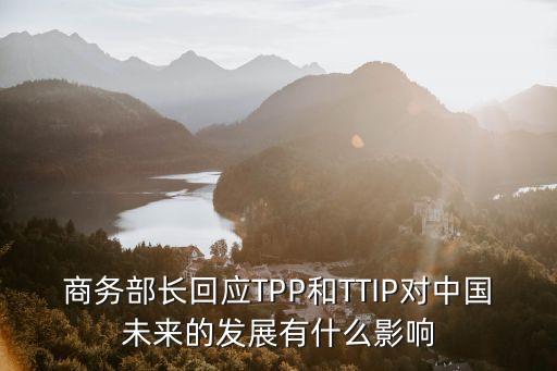 tpp達成中國進入角力