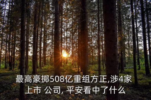 最高豪擲508億重組方正,涉4家 上市 公司, 平安看中了什么