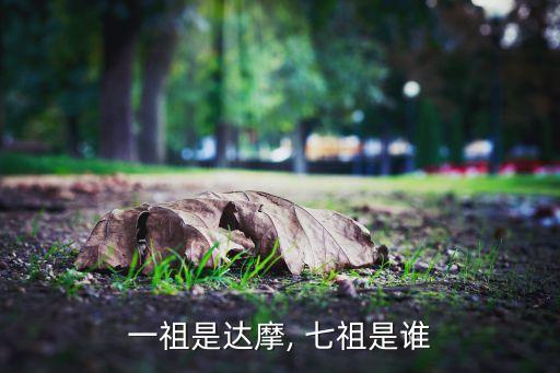 一祖是達(dá)摩, 七祖是誰(shuí)