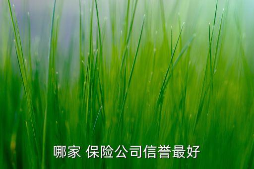 哪家 保險(xiǎn)公司信譽(yù)最好