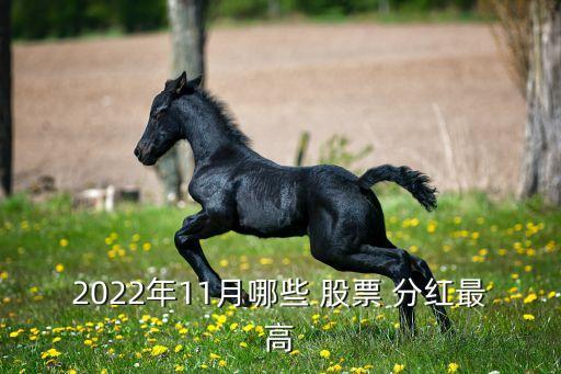 2022年11月哪些 股票 分紅最高